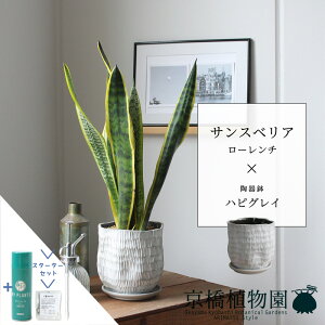 y25P5{IzyubNtCf[N[|LIzyX^[^[ZbgtzTXxAE[`ynsOCzyTXeB[/SUSTEE/[tN/IB̃`J/X[TCY/󂯎M