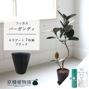 ySSN[|zyX^[^[ZbgtzyZA[gFubNztBJXEo[KfB@Ȃ@7yTXeB[/SUSTEE/[tN/IB̃`J/~hTCY/u/j/Vzj