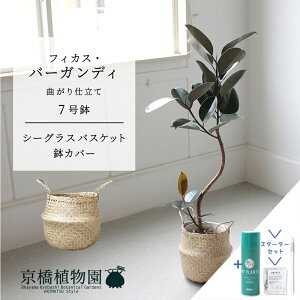 ySSN[|zyX^[^[ZbgtzyV[OXoXPbgztBJXEo[KfB@Ȃ@7yTXeB[/SUSTEE/[tN/IB̃`J/~hTCY ϗtA A Ce