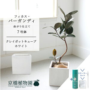 yX^[^[ZbgtzyNC|bgL[uJo[FzCgztBJXEo[KfB@Ȃ@7yTXeB[/SUSTEE/[tN/IB̃`J/~hTCY ϗtA A Ce