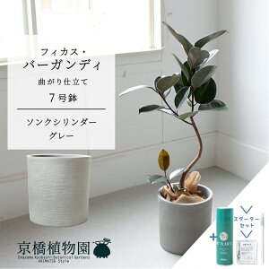 yX^[^[Zbgtzy\NV_[FEH[O[ztBJXEo[KfB@Ȃ@7yTXeB[/SUSTEE/[tN/IB̃`J/~hTCY ϗtA A CeA 