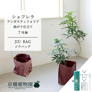 ySSN[|zyX^[^[ZbgtzyJIU BAGiWEobOjzVFtEAKXeBtHA@Ȃ@7yTXeB[/SUSTEE/[tN/IB̃`J/~hTCY ϗtA A