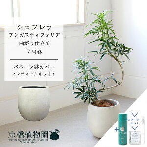 yX^[^[Zbgtzyo[Jo[FAeB[NzCgzVFtEAKXeBtHA@Ȃ@7yTXeB[/SUSTEE/[tN/IB̃`J/~hTCY ϗtA 