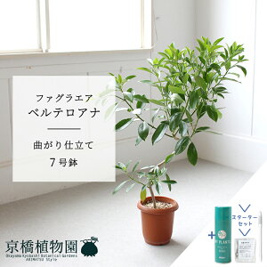 yubNtCf[N[|LIzyX^[^[Zbgtzt@OGAExeAi@Ȃ@7y~hTCY ϗtA A u _ CeA  lC zj J