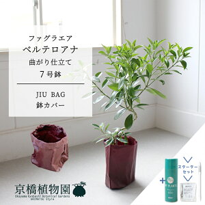 ySSizyX^[^[ZbgtzyJIU BAGiWEobOjzt@OGAExeAi@Ȃ@7yTXeB[/SUSTEE/[tN/IB̃`J/~hTCY ϗtA A CeA