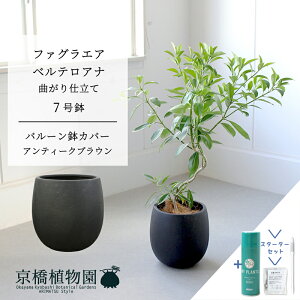 �y�X�^�[�^�[�Z�b�g�t�z�y�o���[�����J�o�[�F�A���e�B�[�N�u���E���z�t�@�O���G�A�E�x���e���A�i�@�Ȃ���@7���y�T�X�e�B�[/SUSTEE/���[�t�N����/IB�̃`�J��/�~�h���T�C�Y �ϗt�A�� �A�� �C