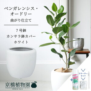 ySSN[|zyX^[^[ZbgtzyJTJo[FzCgztBJXExKVXEI[h[ 7ytATCY/xKS/Vv/zCg//A/Mtg/