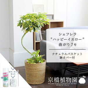 �y�X�^�[�^�[�Z�b�g�t�z�y�i�`�������o�X�P�b�g���J�o�[�z�V�F�t�����e�n�b�s�[�C�G���[�f�@�Ȃ���7���y��������z�y�z���R���J�|�b�N�z�y���h���t�J�m�L�z�y�~�h���T�C�Y/���u��/��j/