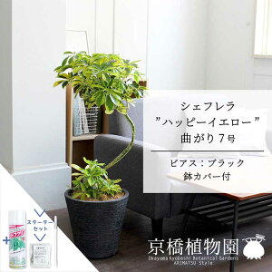 yX^[^[ZbgtzyrAXJo[FubNzVFtenbs[CG[f@Ȃ7yzyzRJ|bNzyhtJmLzy~hTCY/u/j/Vz