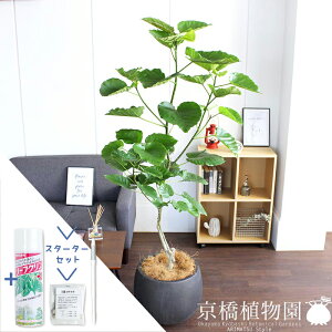 y30P5{IzyX^[^[ZbgtztBJXEEx[^@10yo[Jo[/AeB[NuEzyϗtA/CeA//i`/A/蕨/yV/ʔ/