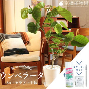 yX^[^[Zbgtzy킩ꂽL^CvztBJXEEx[^@8yZA[g/󂯎MtzyϗtA/CeA//i`/A/蕨/yV/ʔ/~h