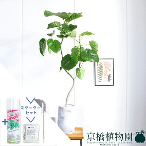 yX^[^[Zbgtzy}Ehg[LztBJXEEx[^@Ȃy󂯎MtzyϗtA/CeA//i`/A/蕨/yV/ʔ/X[TCY/S