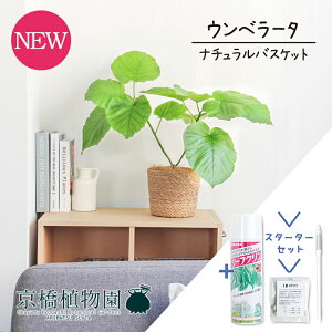 y30P5{IzyX^[^[Zbgtzyi`oXPbgJo[ztBJXEEx[^@5 y󂯎MtzyϗtA/CeA//i`/A/蕨/yV/