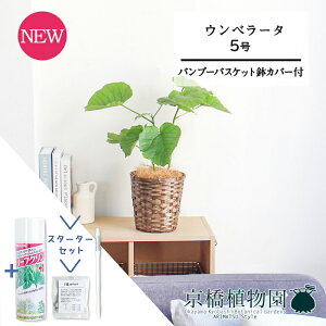 y30P5{IzyX^[^[Zbgtzyou[oXPbgJo[ztBJXEEx[^@5y󂯎MtzyϗtA/CeA//i`/A/蕨/yV/ʔ/