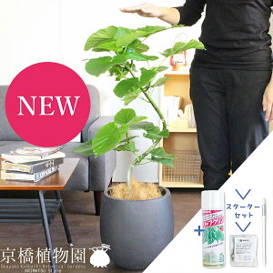 y30P5{IzyX^[^[ZbgtztBJXEEx[^@7@Ȃyo[Jo[/AeB[NuEzyϗtA/CeA//i`/A/蕨/yV/