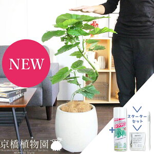 y30P5{IzyX^[^[ZbgtztBJXEEx[^@7@Ȃyo[Jo[/AeB[NzCgzyϗtA/CeA//i`/A/蕨/yV/