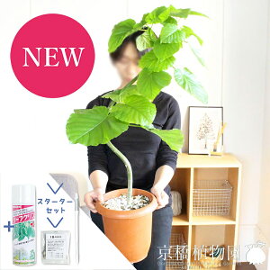 yX^[^[ZbgtztBJXEEx[^@7@ȂyϗtA/CeA//i`/A/蕨/yV/ʔ/~hTCY/S̖/TXeB[/SUSTEE/[tN/IB