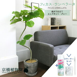 yX^[^[ZbgtztBJXEEx[^ @ȂyGbO|bg/O[zy󂯎Mtz7GyϗtA/CeA//i`/A/蕨/yV/ʔ/~hTCY/S