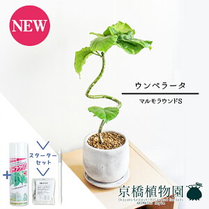 y30P5{IzyX^[^[Zbgtzy}EhSztBJXEEx[^@Ȃy󂯎Mtz4GyϗtA/CeA//i`/A/蕨/yV/ʔ/X[