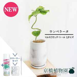 y30P5{IzyX^[^[Zbgtzy}Ehg[LztBJXEEx[^@Ȃy󂯎Mtz4GyϗtA/CeA//i`/A/蕨/yV/ʔ/