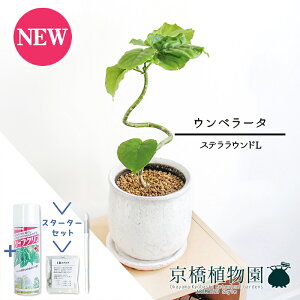 y30P5{IzyX^[^[ZbgtzyXeEhLztBJXEEx[^@Ȃy󂯎Mtz4GyϗtA/CeA//i`/A/蕨/yV/ʔ/X[