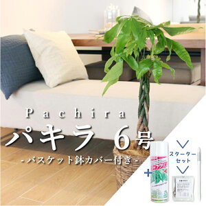 yubNtCf[N[|LIzyX^[^[ZbgtzyFIׂzpL@6yoXPbgJo[zyϗtA/CeA//i`/A/蕨/yV/ʔ/~h