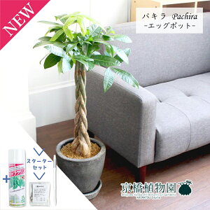 y1P7{IzyX^[^[ZbgtzyGbO|bg/O[zpLy󂯎MtzyϗtA/CeA//i`/A/蕨/yV/ʔ/~hTCY/lCi/TXe