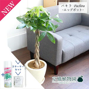 y1P7{IzyX^[^[ZbgtzyGbO|bg/AC{[zpLy󂯎MtzyϗtA/CeA//i`/A/蕨/yV/ʔ/~hTCY/lCi/T