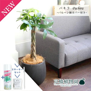 yX^[^[ZbgtzpL@7yo[Jo[/AeB[NuEzyϗtA/CeA//i`/A/蕨/yV/ʔ/~hTCY/lCi/TXeB[/SUS