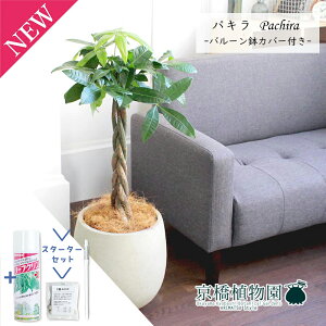 yX^[^[ZbgtzpL@7yo[Jo[/AeB[NzCgzyϗtA/CeA//i`/A/蕨/yV/ʔ/~hTCY/lCi/TXeB[/SUS