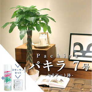 y1P7{IzyX^[^[ZbgtzpL@7yZA[gzyϗtA/CeA//i`/A/蕨/yV/ʔ/~hTCY/lCi/TXeB[/SUSTEE/[t