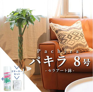 y1P7{IzyX^[^[ZbgtzpL@8yZA[gzyϗtA/CeA//i`/A/蕨/yV/ʔ/~hTCY/lCi/TXeB[/SUSTEE/[t