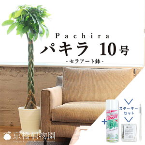 yX^[^[ZbgtzpL@10yZA[gzyϗtA/CeA//i`/A/蕨/yV/ʔ/[WTCY/^/lCi/TXeB[/SUSTEE/[tN/IB