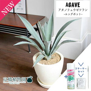 y30P5{IzyX^[^[ZbgtzyIׂ锫J[zAKxEAImE[cyGbO|bgzyAC{[/O[zyϗtA/CeA//i`/A/