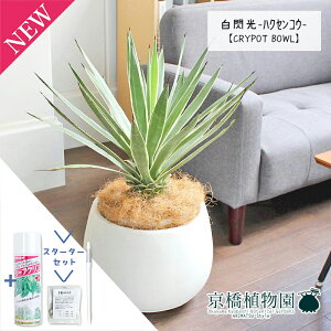 y30P5{IzyX^[^[ZbgtzAKx@MinNZREjy^z