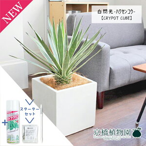 y30P5{IzAKx@MinNZREj 8yNC|bgL[uJo[/zCgzy~hTCYz