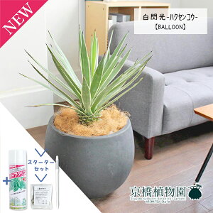 yX^[^[ZbgtzAKx@MinNZREj 8yo[Jo[t/AeB[NuEzy~hTCYz