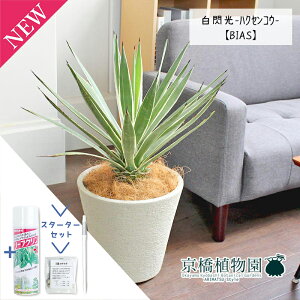 y30P5{IzyX^[^[ZbgtzAKx@MinNZREj 8yrAXJo[/zCgzy~hTCYz