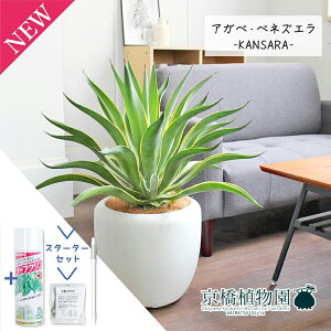 y1P7{IzyX^[^[ZbgtzAKxExlYG 8yJTJo[t/zCgzy~hTCYz