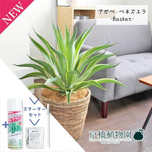 y1P7{IzyX^[^[ZbgtzAKxExlYG 8yoXPbgJo[t/uEzy~hTCYz