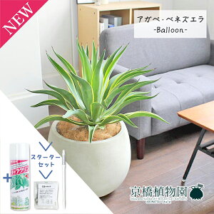 yX^[^[ZbgtzAKxExlYG 8yo[Jo[t/AeB[NzCgzy~hTCYz