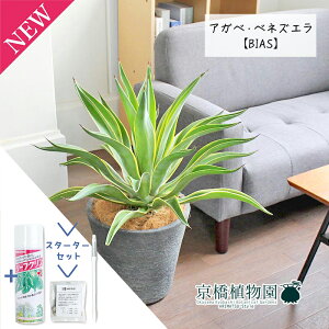 y1P7{IzyX^[^[ZbgtzAKxExlYG 8yrAXJo[t/ubNzy~hTCYz