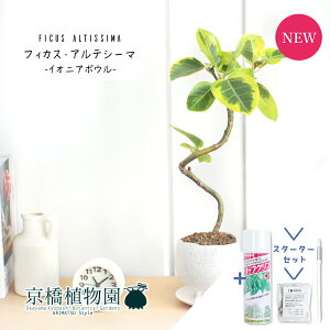 y30P5{IzyX^[^[ZbgtzyCIjA{E/zCgztBJXEAeV[}@Ȃy󂯎Mtz4GyϗtA/CeA//i`/A/蕨/yV/