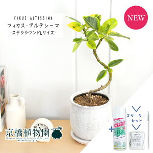 y30P5{IzyX^[^[ZbgtztBJXEAeV[}@ȂyXeEhL/󂯎Mtz4GyϗtA/CeA//i`/A/蕨/yV/ʔ/X[T