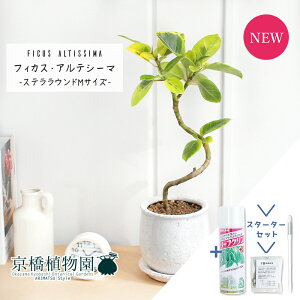 y1P7{IzyX^[^[ZbgtztBJXEAeV[}@ȂyXeEhM/󂯎Mtz4GyϗtA/CeA//i`/A/蕨/yV/ʔ/X[T