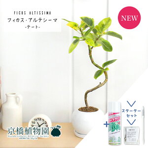 y30P5{IzyX^[^[Zbgtzye[g/픫ztBJXEAeV[}@Ȃy󂯎Mtz4GyϗtA/CeA//i`/A/蕨/yV/ʔ/X[