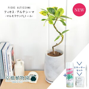 y30P5{IzyX^[^[ZbgtztBJXEAeV[}@Ȃy}Ehg[L/󂯎Mtz4GyϗtA/CeA//i`/A/蕨/yV/ʔ/~h