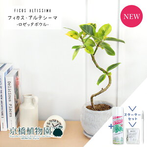 y30P5{IzyX^[^[Zbgtzy[b^{E/zCgztBJXEAeV[}@Ȃy󂯎Mtz4GyϗtA/CeA//i`/A/蕨/yV/