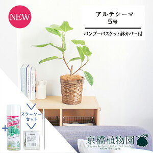 ySSN[|zySSizyX^[^[Zbgtzyou[oXPbgJo[ztBJXEAeV[}@5yϗtA/CeA//i`/A/蕨/yV/ʔ/