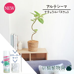 yX^[^[Zbgtzyi`oXPbgJo[ztBJXEAeV[}@6@ȂyϗtA/CeA//i`/A/蕨/yV/ʔ/~hTCY/lC